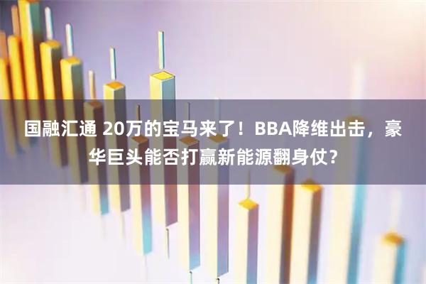 国融汇通 20万的宝马来了!BBA降维出击,豪华巨头能否打赢新能源翻身仗?