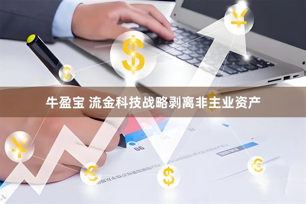 牛盈宝 流金科技战略剥离非主业资产