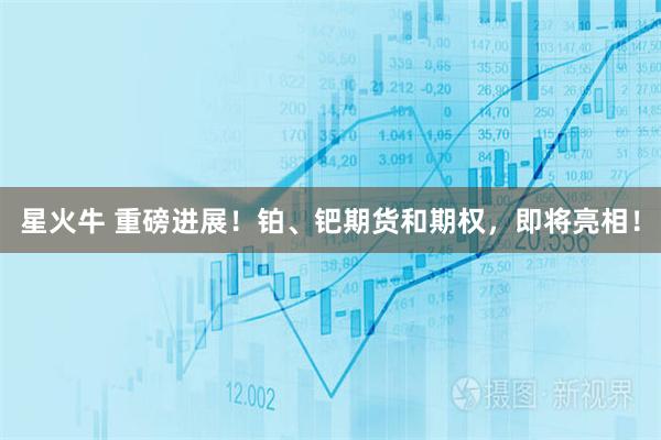 星火牛 重磅进展!铂、钯期货和期权,即将亮相!