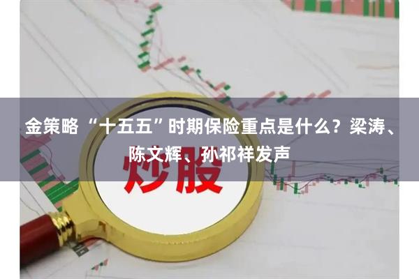 金策略 “十五五”时期保险重点是什么？梁涛、陈文辉、孙祁祥发声